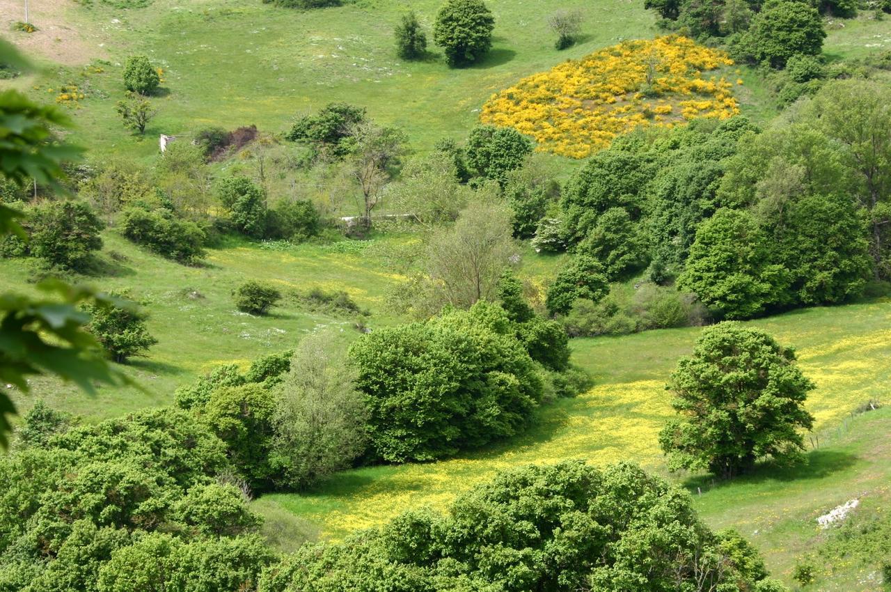 Agriturismo La Guinza Arcidosso Kültér fotó